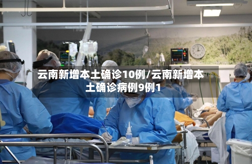 云南新增本土确诊10例/云南新增本土确诊病例9例1-第2张图片
