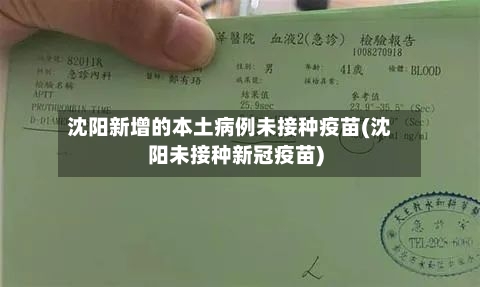 沈阳新增的本土病例未接种疫苗(沈阳未接种新冠疫苗)-第2张图片