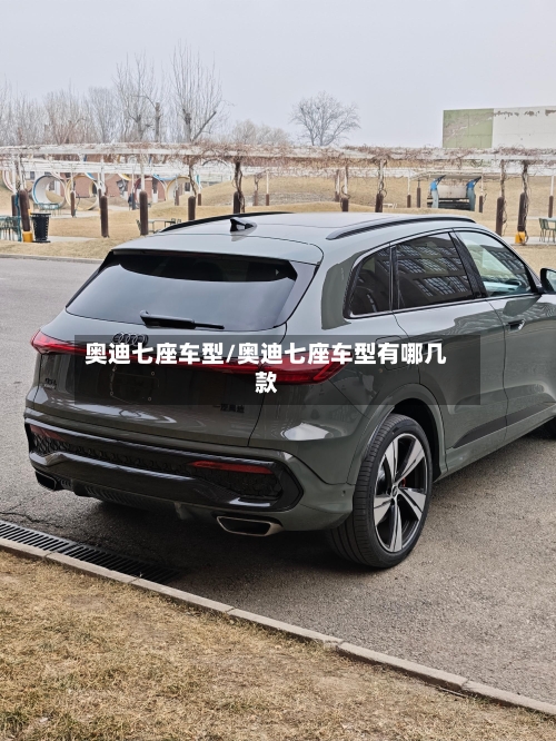 奥迪七座车型/奥迪七座车型有哪几款-第2张图片