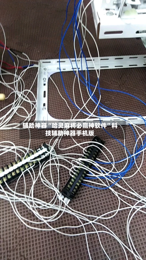 辅助神器“哈灵麻将必赢神软件”科技辅助神器手机版-第2张图片