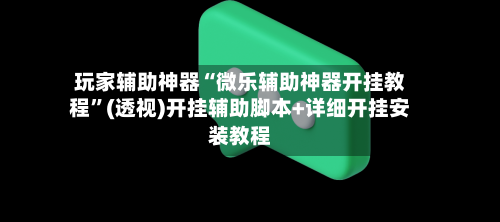 玩家辅助神器“微乐辅助神器开挂教程	”(透视)开挂辅助脚本+详细开挂安装教程-第3张图片