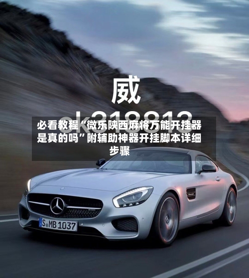 必看教程“微乐陕西麻将万能开挂器是真的吗”附辅助神器开挂脚本详细步骤-第3张图片