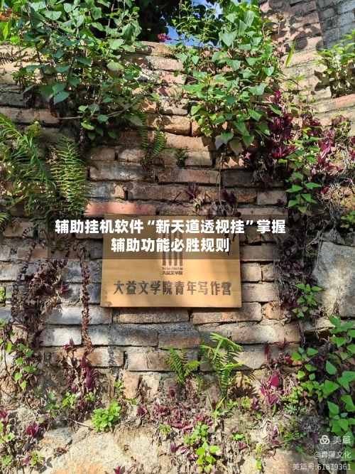 辅助挂机软件“新天道透视挂	”掌握辅助功能必胜规则-第1张图片