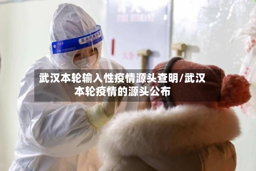 武汉本轮输入性疫情源头查明/武汉本轮疫情的源头公布-第2张图片