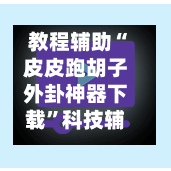 教程辅助“皮皮跑胡子外卦神器下载	”科技辅助神器手机版-第3张图片