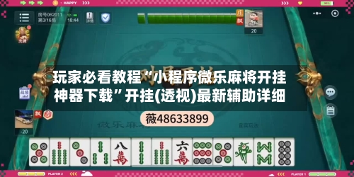 玩家必看教程“小程序微乐麻将开挂神器下载”开挂(透视)最新辅助详细-第2张图片