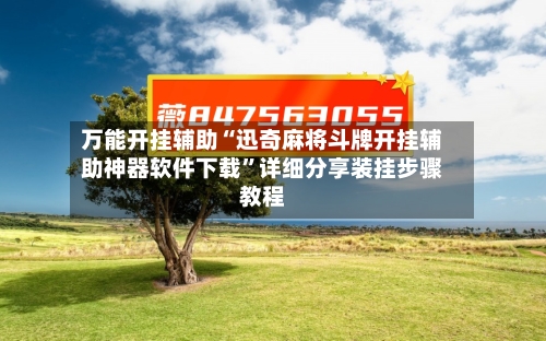 万能开挂辅助“迅奇麻将斗牌开挂辅助神器软件下载”详细分享装挂步骤教程-第3张图片
