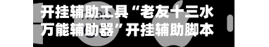 开挂辅助工具“老友十三水万能辅助器”开挂辅助脚本+详细开挂安装教程-第2张图片