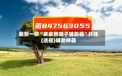 最新一款“皮皮跑胡子辅助器”开挂(透视)辅助神器-第1张图片