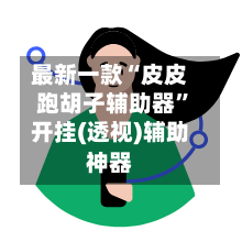 最新一款“皮皮跑胡子辅助器	”开挂(透视)辅助神器-第2张图片