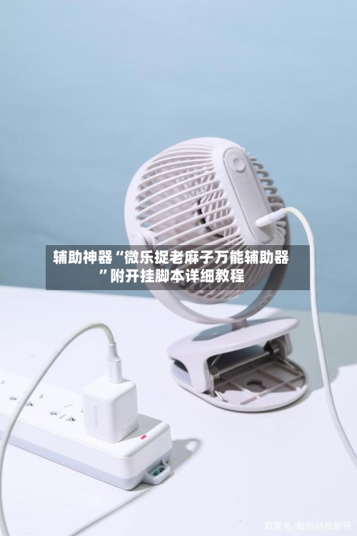 辅助神器“微乐捉老麻子万能辅助器”附开挂脚本详细教程-第3张图片