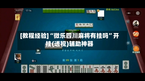 [教程经验]“微乐四川麻将有挂吗”开挂(透视)辅助神器-第1张图片