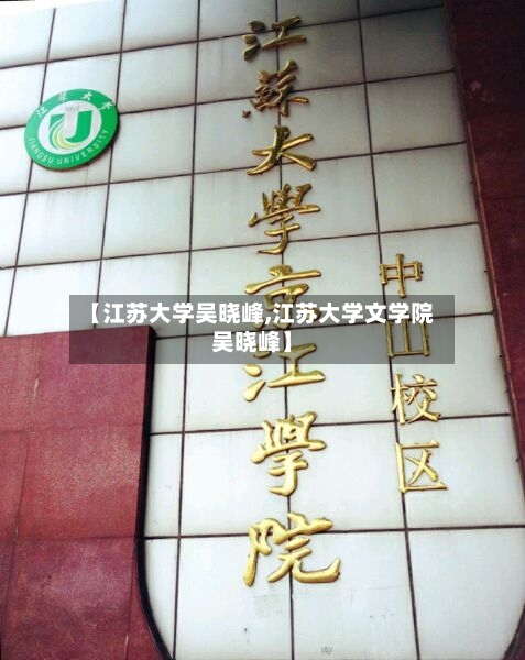 【江苏大学吴晓峰,江苏大学文学院吴晓峰】-第2张图片