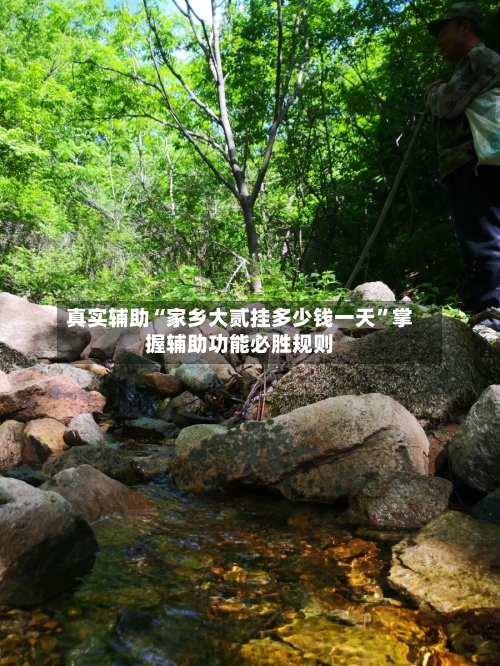 真实辅助“家乡大贰挂多少钱一天	”掌握辅助功能必胜规则-第2张图片