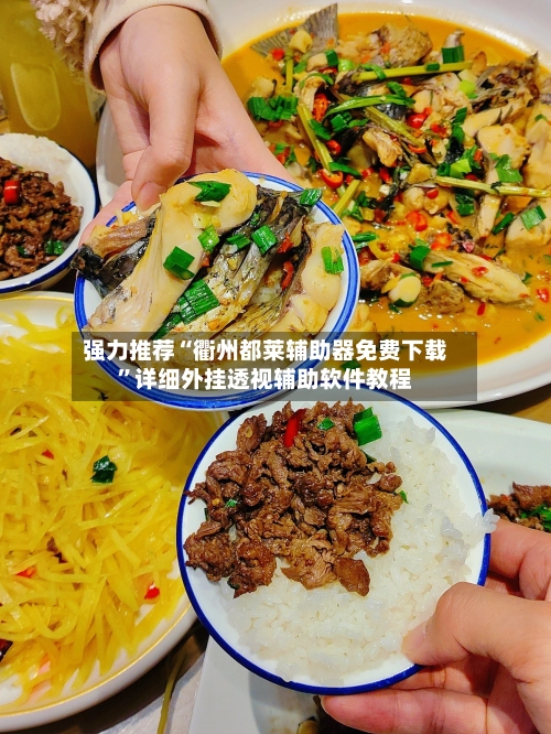 强力推荐“衢州都莱辅助器免费下载”详细外挂透视辅助软件教程-第1张图片