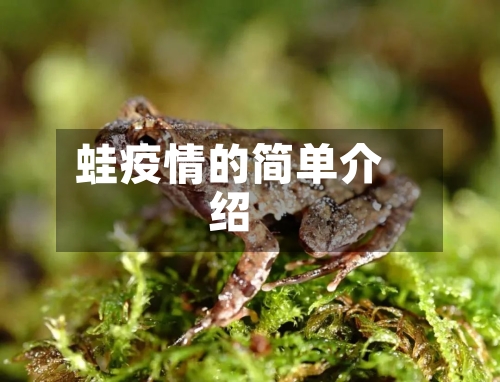 蛙疫情的简单介绍-第2张图片