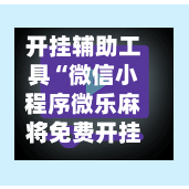 开挂辅助工具“微信小程序微乐麻将免费开挂	”智能透视稳定辅助-第3张图片