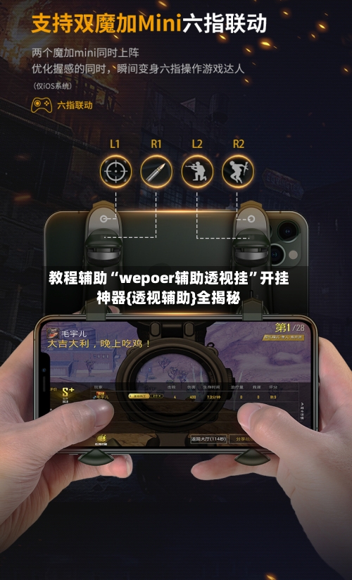 教程辅助“wepoer辅助透视挂	”开挂神器{透视辅助}全揭秘-第3张图片