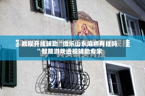 教程开挂辅助“微乐山东麻将有挂吗”智能游戏透视辅助专家-第3张图片