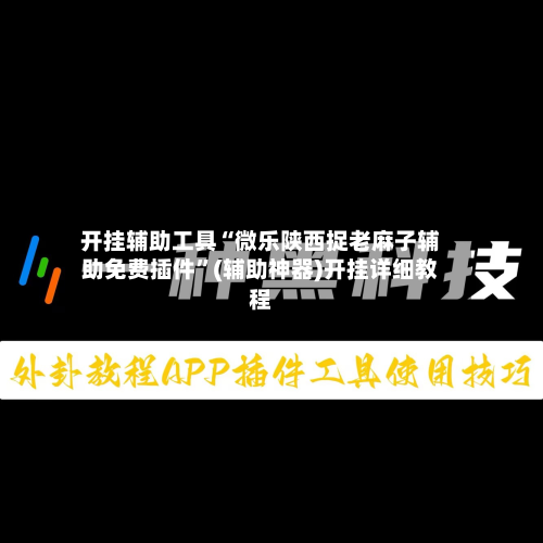 开挂辅助工具“微乐陕西捉老麻子辅助免费插件”(辅助神器)开挂详细教程-第2张图片