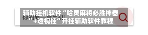 辅助挂机软件“哈灵麻将必胜神器	”+透视挂”开挂辅助软件教程-第2张图片