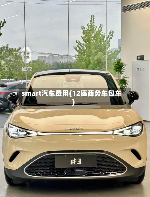 smart汽车费用(12座商务车包车)-第2张图片