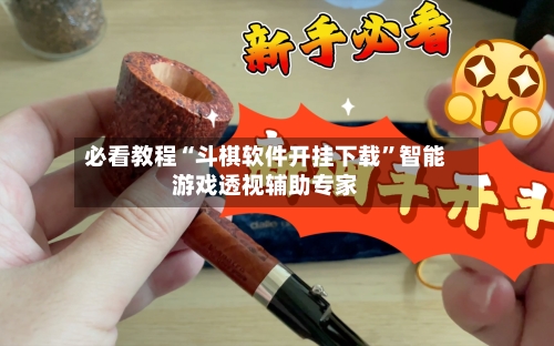 必看教程“斗棋软件开挂下载”智能游戏透视辅助专家-第3张图片