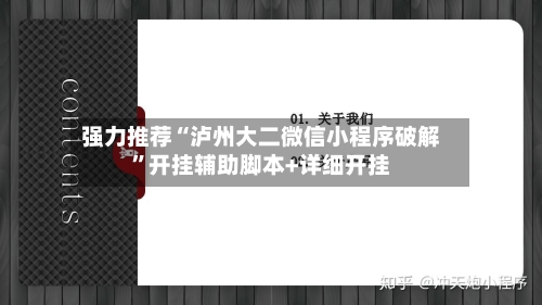强力推荐“泸州大二微信小程序破解	”开挂辅助脚本+详细开挂-第1张图片