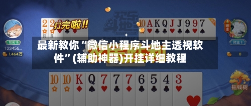 最新教你“微信小程序斗地主透视软件”(辅助神器)开挂详细教程-第1张图片