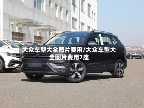大众车型大全图片费用/大众车型大全图片费用7座-第2张图片