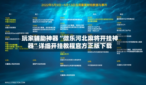 玩家辅助神器“微乐河北麻将开挂神器	”详细开挂教程官方正版下载-第2张图片