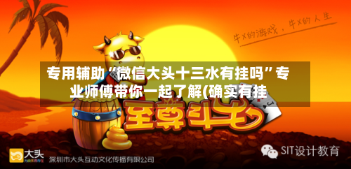 专用辅助“微信大头十三水有挂吗”专业师傅带你一起了解(确实有挂-第1张图片
