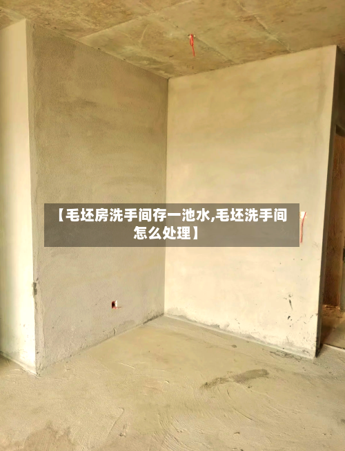 【毛坯房洗手间存一池水,毛坯洗手间怎么处理】-第3张图片