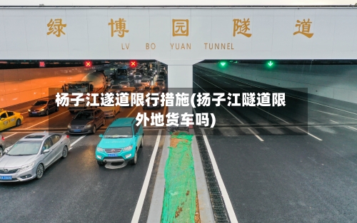 杨子江遂道限行措施(扬子江隧道限外地货车吗)-第3张图片