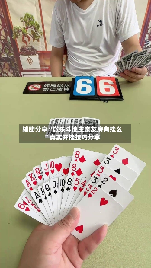 辅助分享“微乐斗地主亲友房有挂么”真实开挂技巧分享-第2张图片