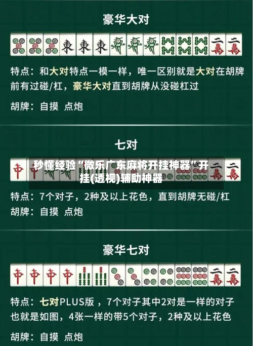 秒懂经验“微乐广东麻将开挂神器	”开挂(透视)辅助神器-第1张图片