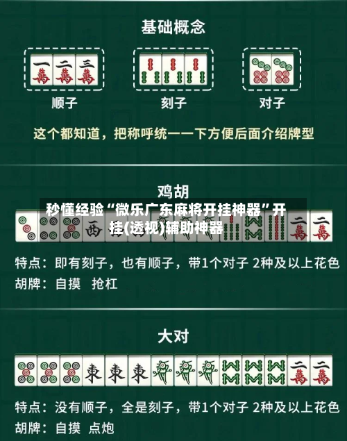 秒懂经验“微乐广东麻将开挂神器”开挂(透视)辅助神器-第2张图片