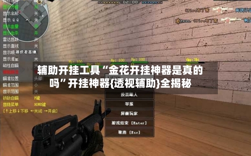 辅助开挂工具“金花开挂神器是真的吗	”开挂神器{透视辅助}全揭秘-第2张图片