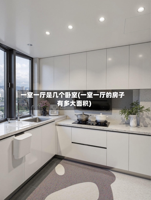 一室一厅是几个卧室(一室一厅的房子有多大面积)-第2张图片
