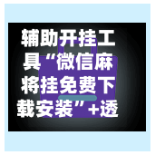 辅助开挂工具“微信麻将挂免费下载安装”+透视挂”开挂辅助软件教程-第2张图片