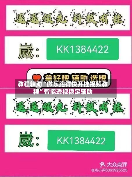 教程辅助“微乐跑得快开挂视频教程”智能透视稳定辅助-第1张图片