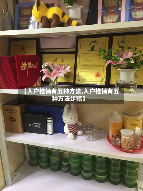 【入户推销有五种方法,入户推销有五种方法步骤】-第1张图片