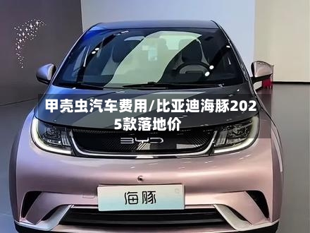 甲壳虫汽车费用/比亚迪海豚2025款落地价-第3张图片