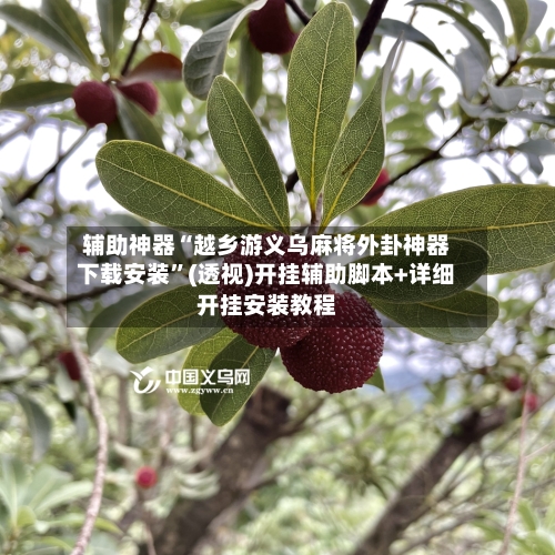 辅助神器“越乡游义乌麻将外卦神器下载安装	”(透视)开挂辅助脚本+详细开挂安装教程-第3张图片