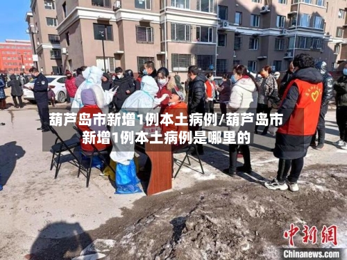 葫芦岛市新增1例本土病例/葫芦岛市新增1例本土病例是哪里的-第2张图片
