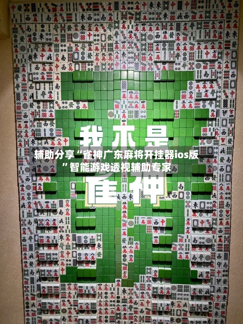 辅助分享“雀神广东麻将开挂器ios版”智能游戏透视辅助专家-第2张图片