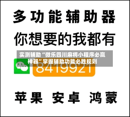 实测辅助“微乐四川麻将小程序必赢神器”掌握辅助功能必胜规则-第2张图片