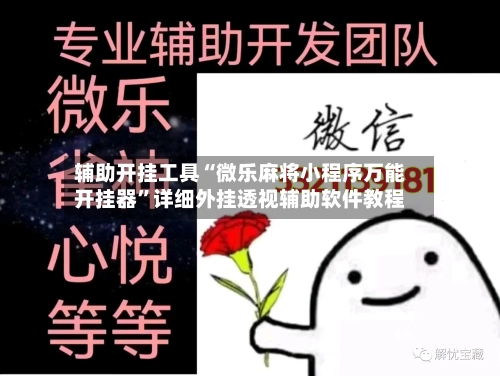 辅助开挂工具“微乐麻将小程序万能开挂器”详细外挂透视辅助软件教程-第1张图片
