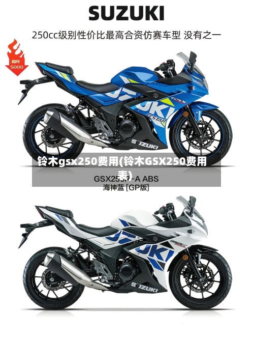 铃木gsx250费用(铃木GSX250费用表)-第2张图片