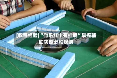[教程经验]“微乐红十有挂吗	”掌握辅助功能必胜规则-第2张图片